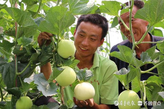 莘县瓜菜菌种植面积和总产量均居山东省首位