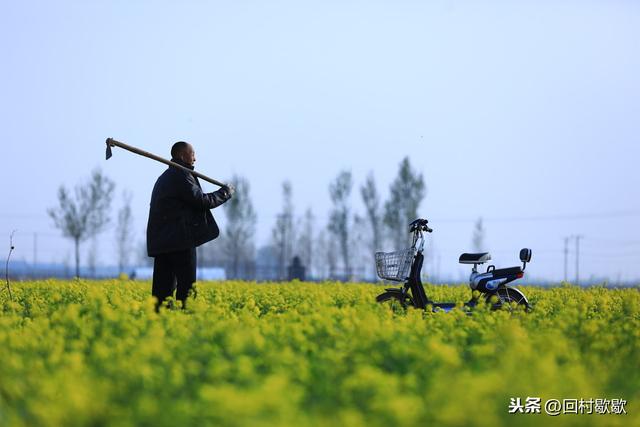 北方早春小拱棚种西瓜，记住别犯这10个错，西瓜丰收优质有保证