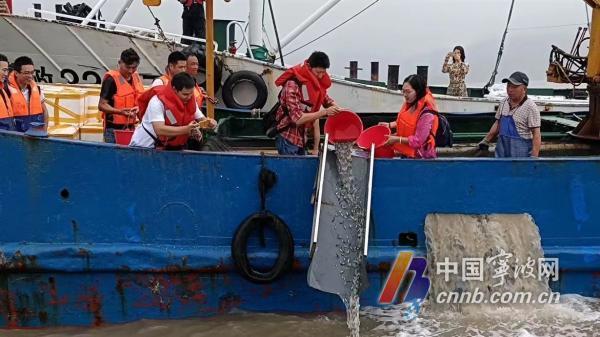 守护多样生物 看宁波如何让更多野生动植物平安“上岸”