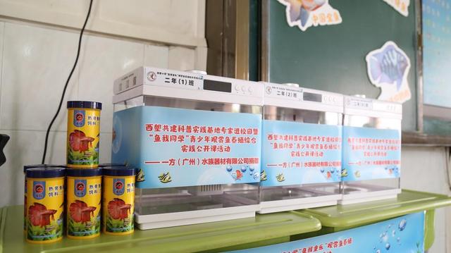 “学养鱼”进课堂？这个学校打造全市首个观赏鱼养殖校本实践活动