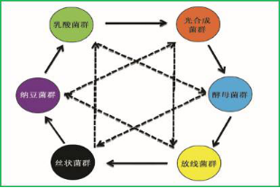 小龙虾养殖：调水不再是问题！你一直苦苦寻找的调水利器在这里