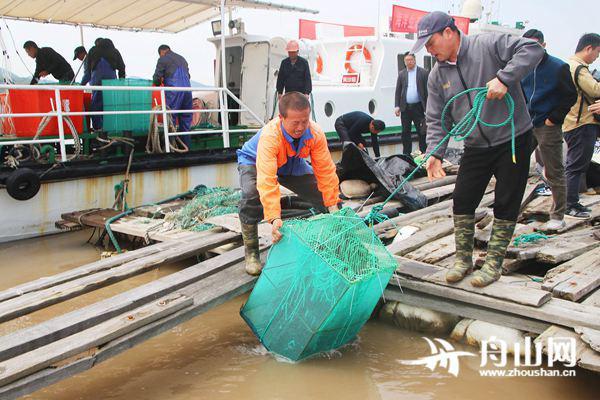 450余万粒乌贼卵 放入养殖基地孵化