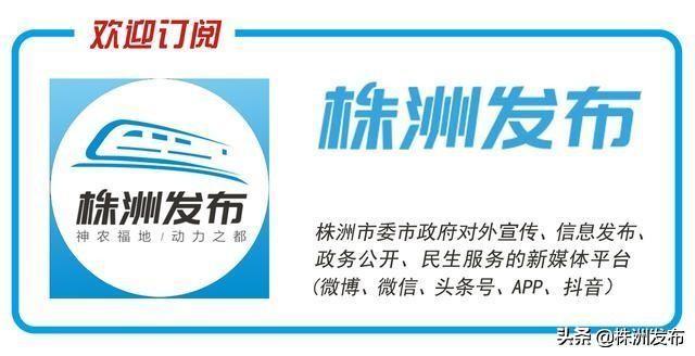 株洲渌口区三旺村成为湖南工大产学研基地，企业兴了、产业旺了、教授来了！