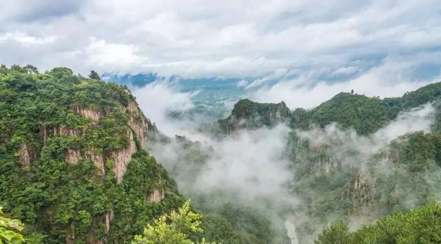 景美茶香！拿好这份浙江茶园地图，觅春去~