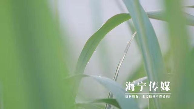 海宁驻山干部：勤跑腿多用心 扎进深山搭起“增收桥”