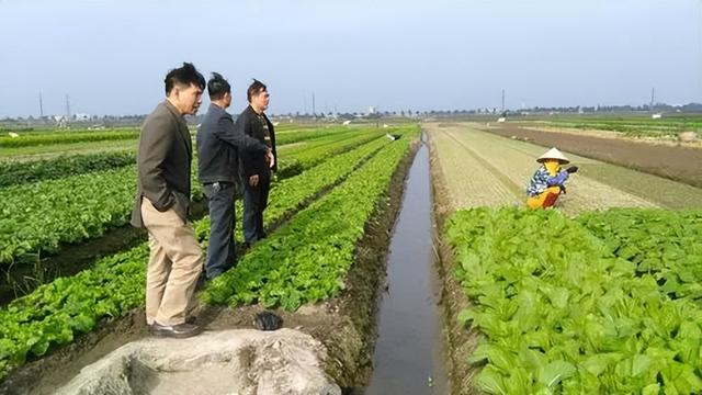 生物技术改变了食品行业，合成肉和植物肉的发展前景如何？