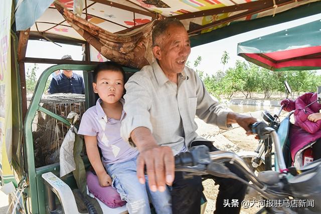 河南这个村：给贫困户分蛋鸭，下鸭蛋“滋润”日子……