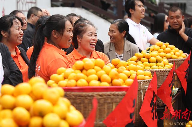 金秋蜜橘俏  果农丰收忙