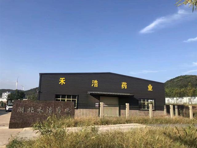 大悟县彭店乡：山里一片艾叶，共富一方乡邻