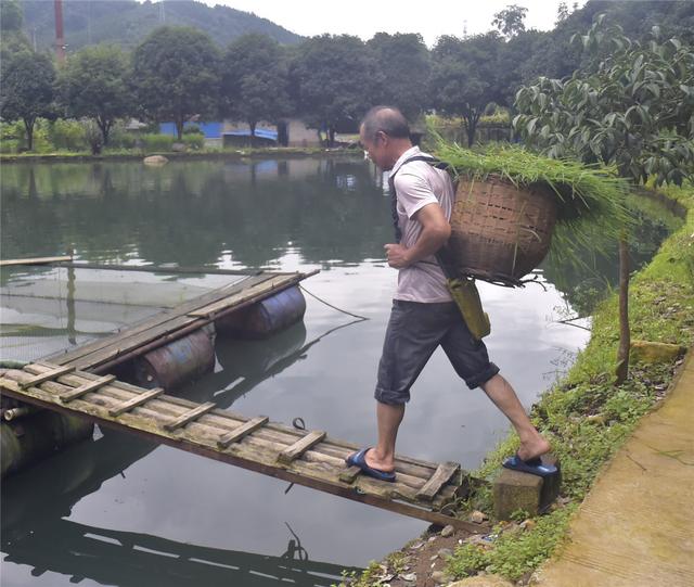 桂林：山清水秀鱼鲜的龙胜聆溪水产养殖场