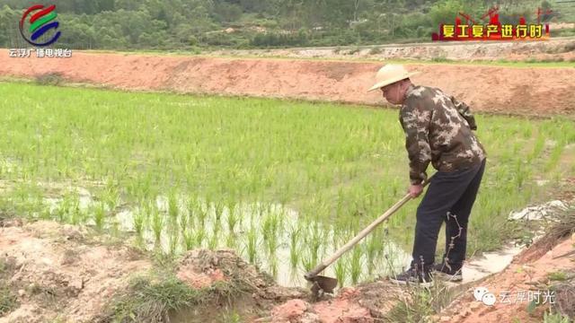 云浮：垦造水田让土地“活”起来