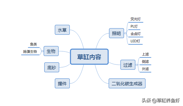 从无到有，从头学起，草缸成景你要准备些什么？