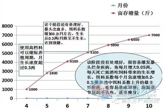 高手是这样养黄颡的！以珠三角黄颡鱼为例