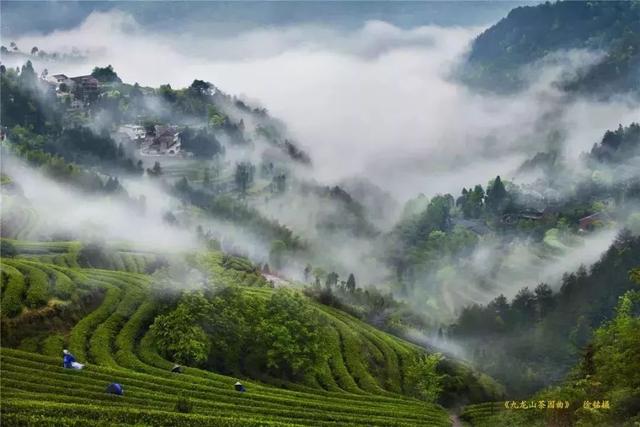 景美茶香！拿好这份浙江茶园地图，觅春去~