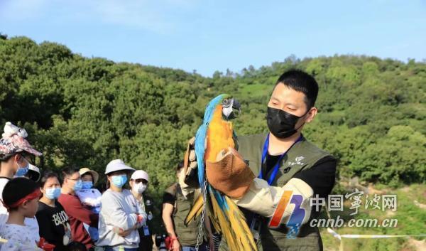 守护多样生物 看宁波如何让更多野生动植物平安“上岸”