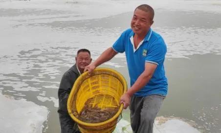 这就是全面封锁日本水产的底气！新疆3000亩盐碱地成海水养殖基地