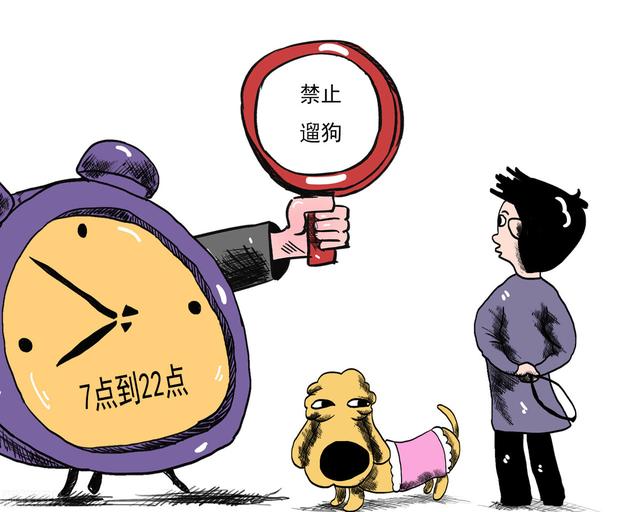 宠物竟是“禁养犬”，办证居然还有套路？