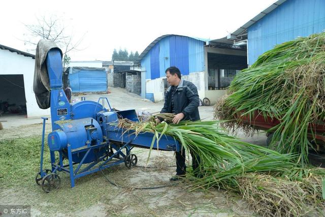 种植业如何跳出失败怪圈？3条路子送给你，建议收藏