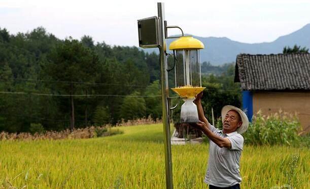 推荐几种实用的养殖场夏季灭蚊灭蝇方法，经过测试效果佳