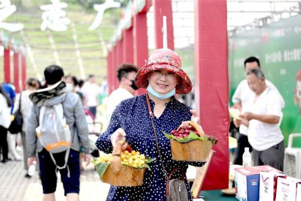 一颗樱桃的“进化论”