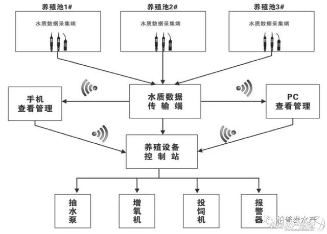 干货，封闭式工厂化循环水智能养殖欧鳗技术