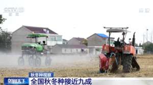 种植大省(农业农村部：全国冬小麦、冬油菜播种面积接近九成)