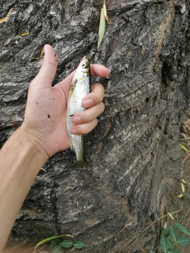 推荐一个北京可路亚可台钓的野钓地方