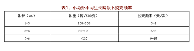 关于小龙虾养殖你应该知道的