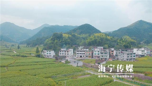 海宁驻山干部：勤跑腿多用心 扎进深山搭起“增收桥”