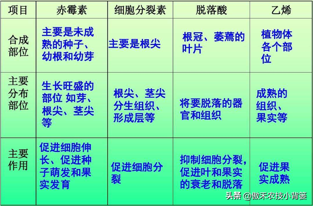 植物生长调节剂＝激素？其功能作用、药害症状及补救方法有哪些？