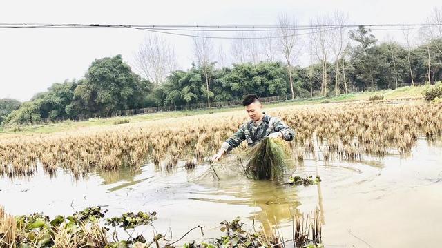 人物｜内江隆昌“85后”小伙返乡创业5年成养虾大户