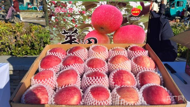 北京延庆张山营镇逾200万斤优质苹果获丰收