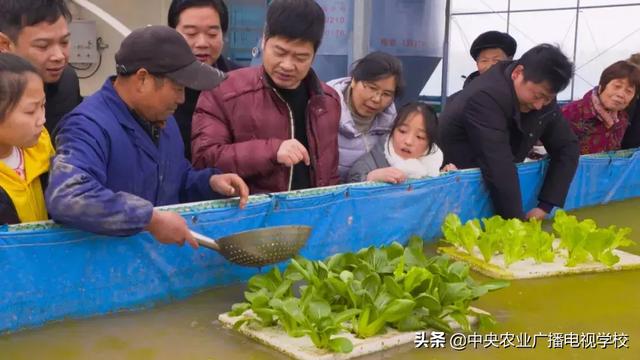 【农广天地】猪粪变宝 种养来财