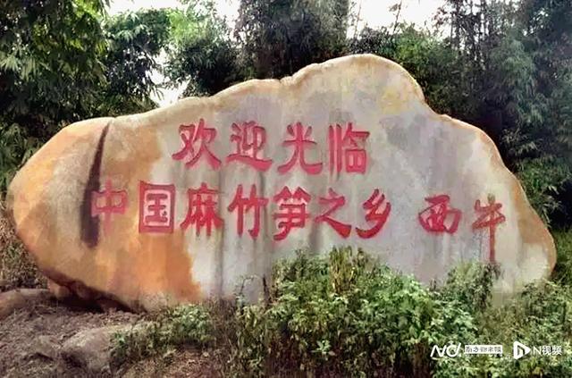 广东英德打造麻竹笋“百亿”富民产业，建产业园成重要抓手