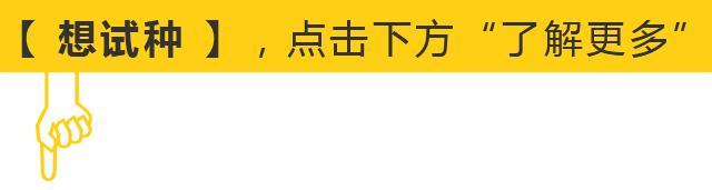 这几种扁豆品种，提早100天上市，轻松亩赚几万元，不能错过