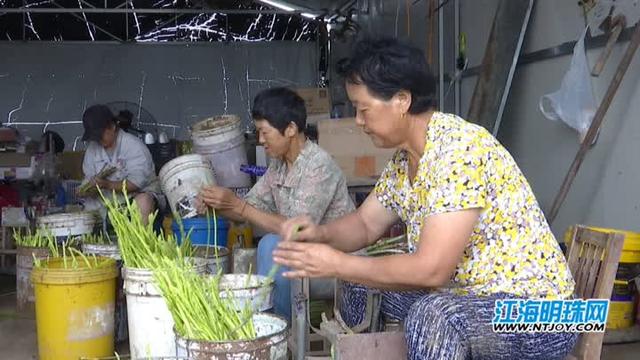 南通通州东平村千万资金打造“芦笋村”