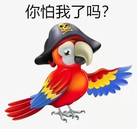 鹦鹉热是什么病？还能好好遛鸟儿吗？