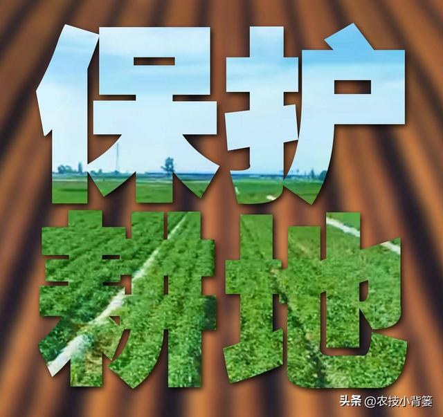 土壤严重退化会长青苔、泛白霜、土发红，农民如何去防治和补救？