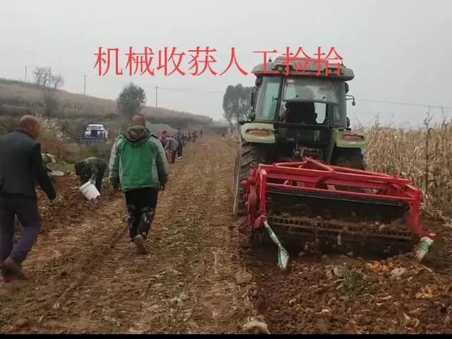 生地大户是这样种生地的