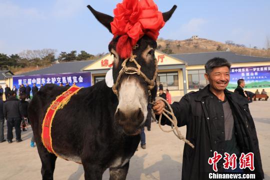 辽宁制定十大畜禽产业发展规划 尽显地方特色