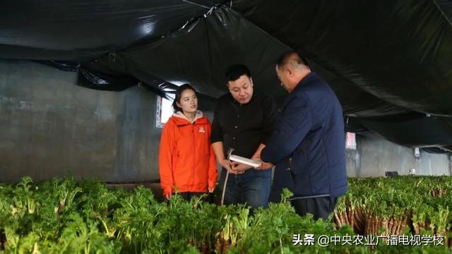 【田间示范秀】让刺嫩芽出好芽