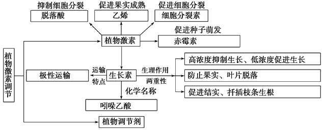 植物生长调节剂＝激素？其功能作用、药害症状及补救方法有哪些？