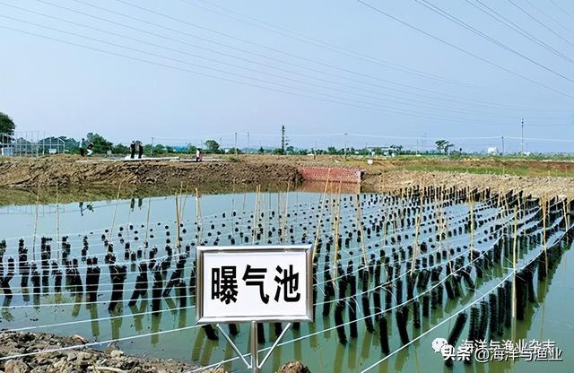 │高明何氏│养殖池塘标准化改造 生态经济效益双丰收