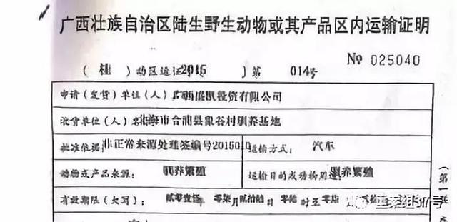 130只走私穿山甲被查获后，寄养在人工繁育机构全部“因救护失败死亡”