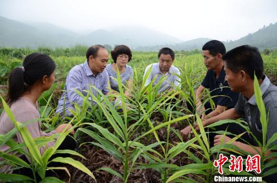 湖南江永：抓住“精准”牛鼻子 打赢脱贫攻坚战