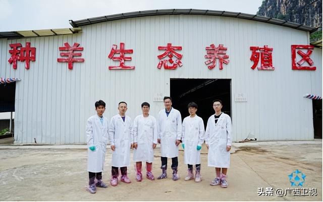 科技下乡服务忙：广西牛羊产业创新团队“栏舍课堂”走进武鸣墨羊养殖基地