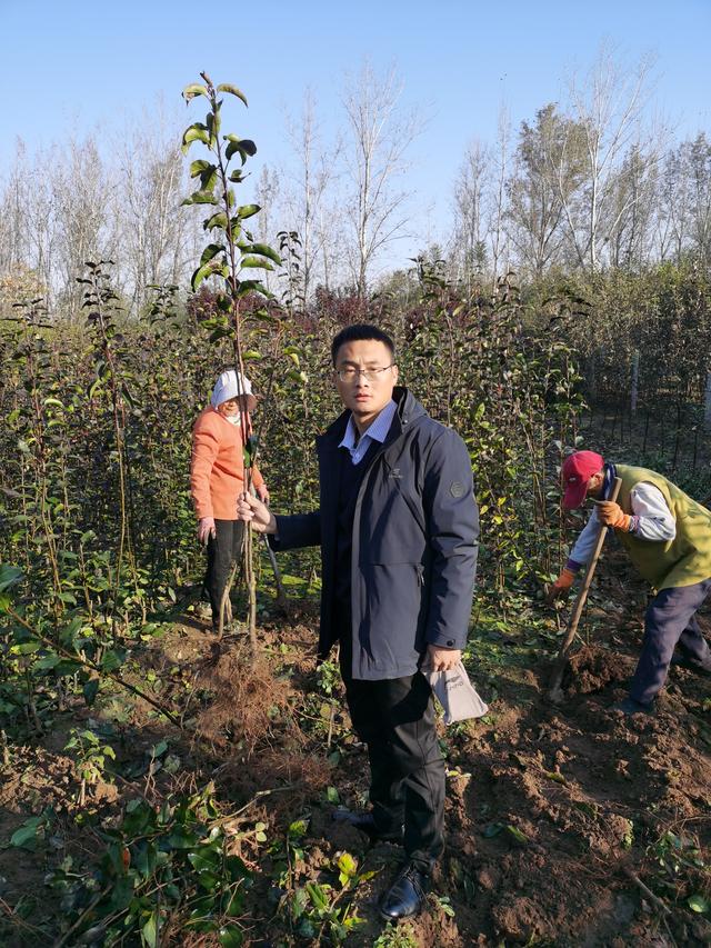 山农酥梨苗栽植园应选择生态条件好、远离污染源、灌溉