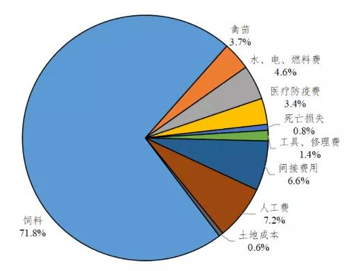 2021年度广东省家禽产销形势分析