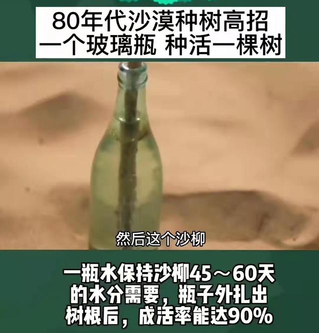 农民一瓶水种活一棵树，瓶外扎根成活率90%，80年代沙漠种树高招