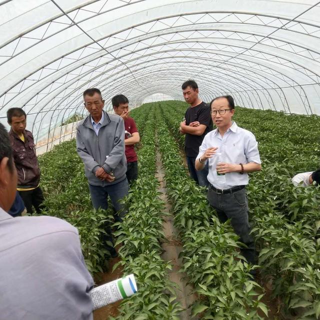 富硒酵素种植技术－农产品安全与功能的完美结合